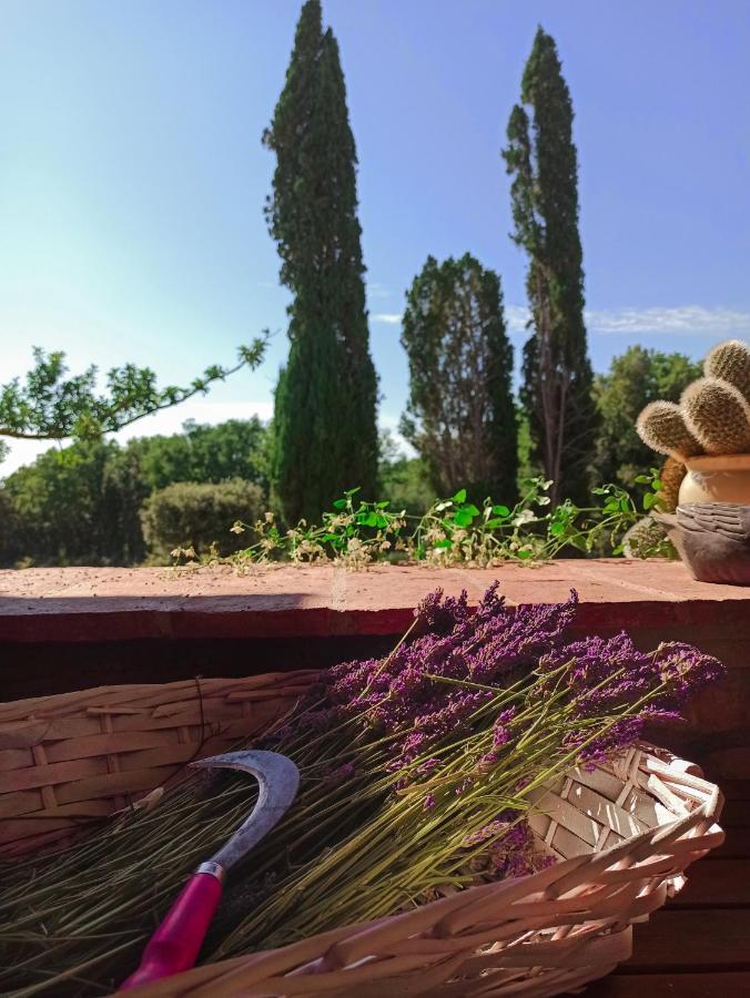 Agriturismo Podere Le Palaie Monterotondo  ภายนอก รูปภาพ