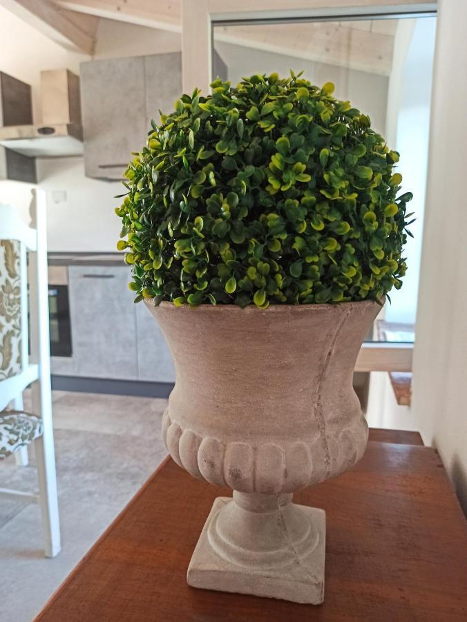 Agriturismo Podere Le Palaie Monterotondo  ภายนอก รูปภาพ