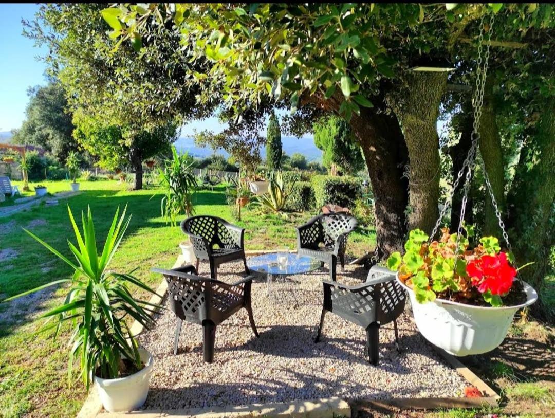 Agriturismo Podere Le Palaie Monterotondo  ภายนอก รูปภาพ