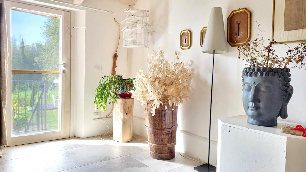 Agriturismo Podere Le Palaie Monterotondo  ห้อง รูปภาพ