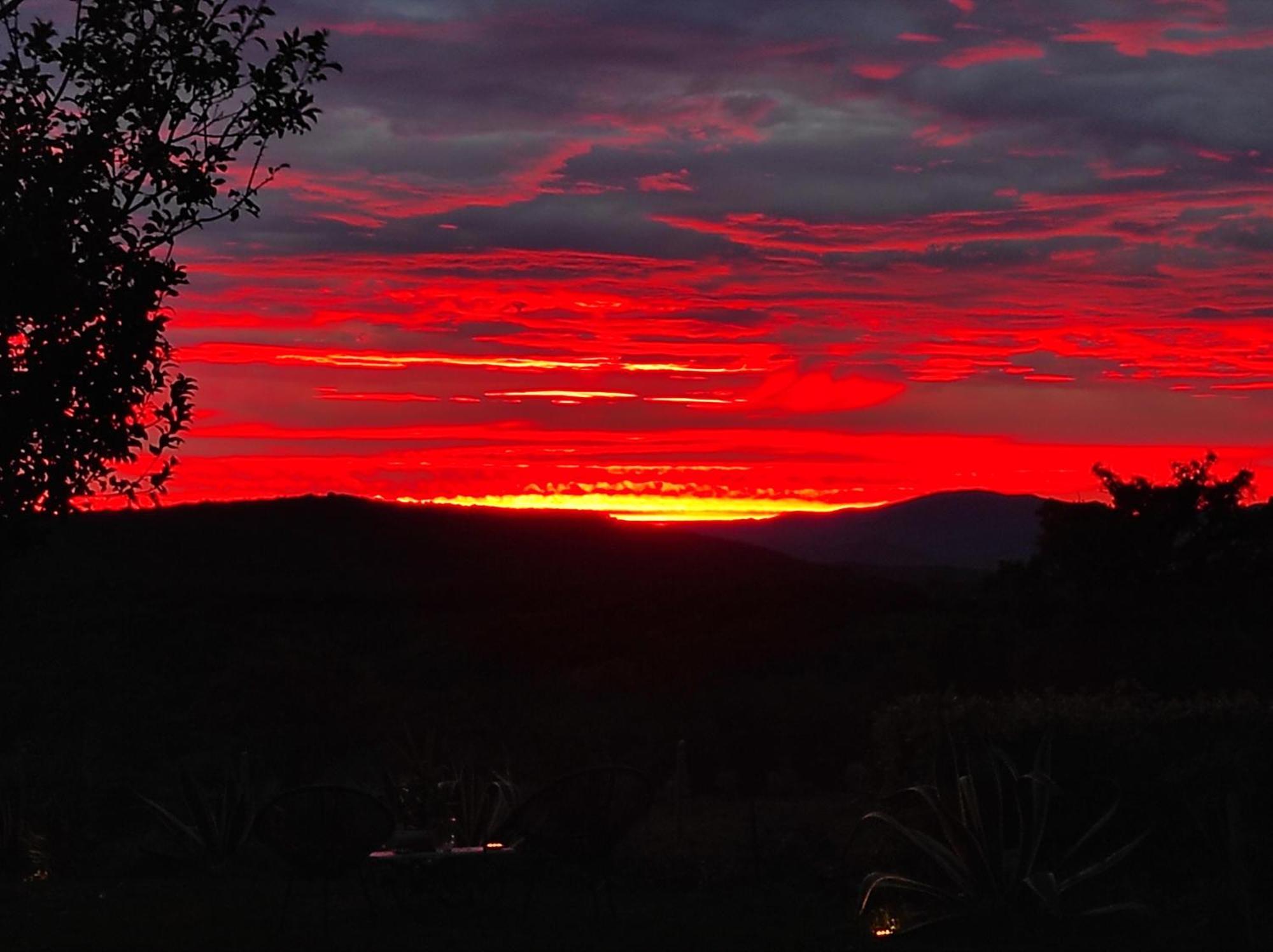 Agriturismo Podere Le Palaie Monterotondo  ห้อง รูปภาพ