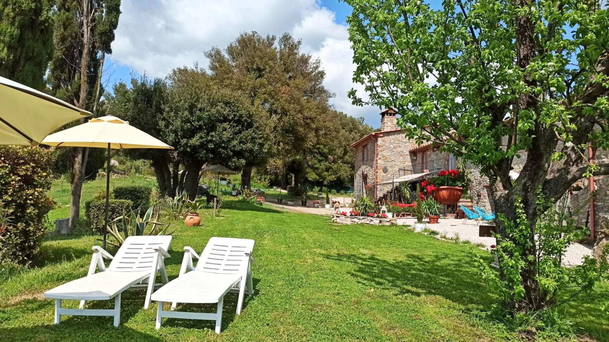 Agriturismo Podere Le Palaie Monterotondo  ห้อง รูปภาพ